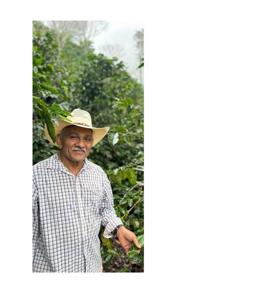 Benito Sanchez Philo Coffee